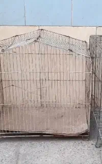 قفس پرندگان