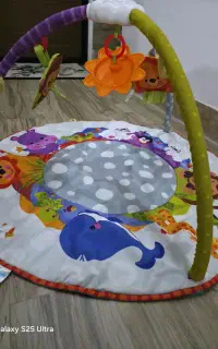 زمین بازی فیشر پرایس برای نوزاد