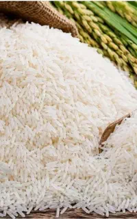 فروش برنج و نیم دانه طارم هاشمی سوت شده بدون واسطه