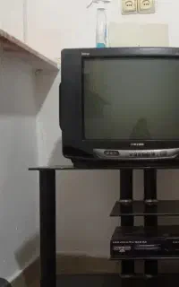 تلویزیون