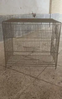 قفس پرنده