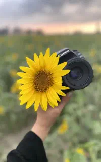 فروش دوربین 80d