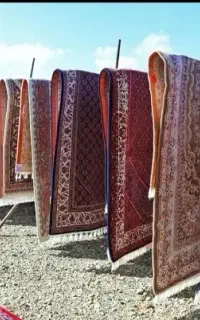 قالیشویی،مبلشویی،خشکشویی ماهان کنگان