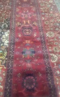 فرش دست بافت چهار چنگ کناره