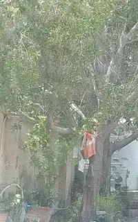نظافت پارکینگ واحد راه پله