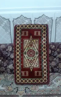 دوجفت پشتی سالم با ابر بسیار متراکم