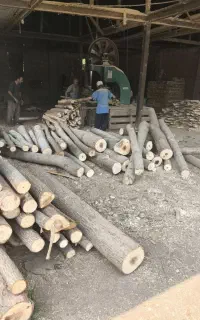 فروش چوب وتخته پالتی صنوبر و پالت چوبی