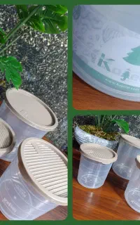 ظرف 3 عددی حبوبات