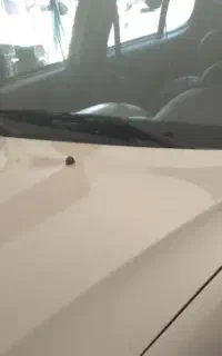 ساینا ۴۰۲