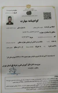 کارشناس خودرو هستم رنگ شاسی ها