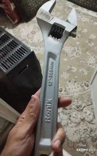 فرانسه و کلاغی