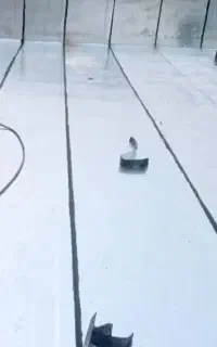 نصب ایزوگام با بهترین کیفیت