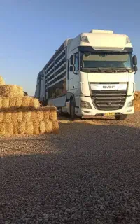 باربری برون شهری کامیون تریلی تک خاور نیسان وانت