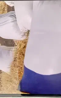 کاه قنهاری