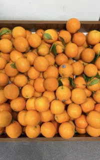 کار در میوه فروشی