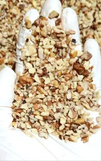 مغز گردوی دندانه اقتصادی