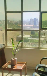 طراحی سایت / طراح پشتیبان و ادمین / سئو گوگل
