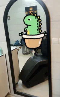 آینه قدی دوعدد