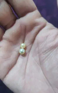 فروش مروارید اصل
