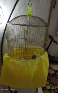 قفس پرنده در حد نو