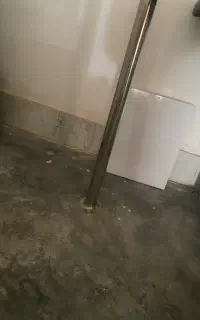 رگال برای مزون