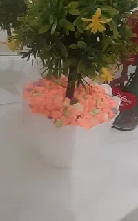 تعدادی گل وگلدان