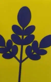 رنگ مو قیمت عمده