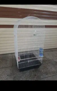 قفس