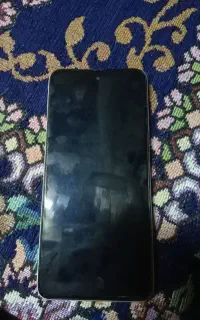 گوش شیامی