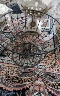 میوه خوری