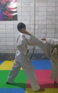 مدرسه کاراته  ثبت نام می‌کند
