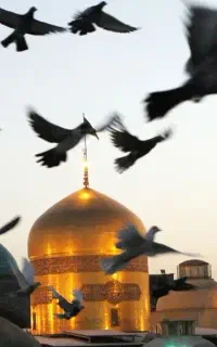 کرمان به مشهد