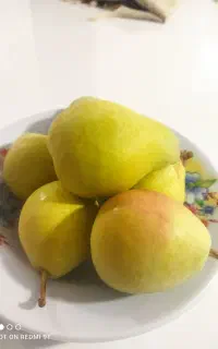 گلابی بیروتی ،خوشمزه ابدار