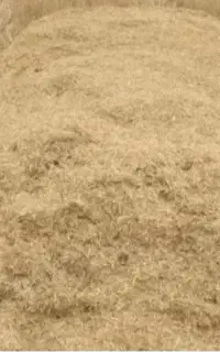 کاه گندم کاه کوب
