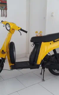 وسپا کلکسیونی