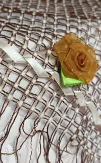 جفت رو پشتی و ... شیک و نو