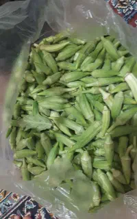 بامیه ارگانیک وتازه