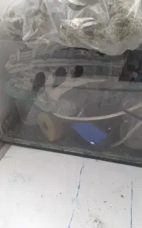 آکواریوم