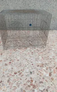 قفس پرنده