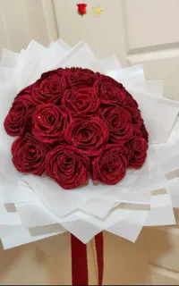 گل روبانی/ پروانه ای