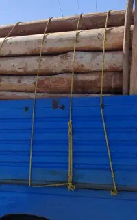 خریدار چوب خشک و تر
