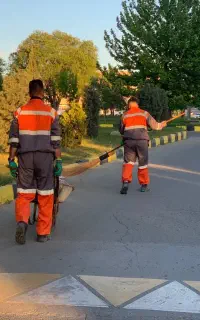 به تعدادی نیروی جوان جهت کاردرروفت و روب نیازمندیم