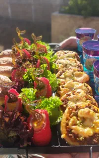 فینگر فود دسر ژله حلوا ساندویچ کیک