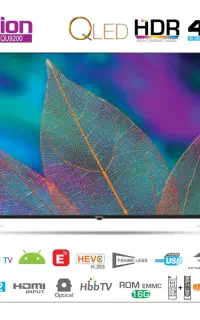 تلویزیون ۶۵Q اینچ هوریون (اقساط 12 ماه)