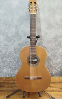 سازگیتار