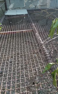 تخت