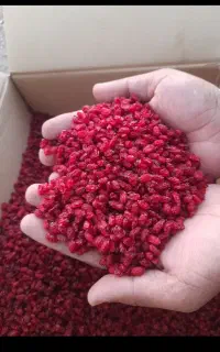 زرشک پفکی درجه یک
