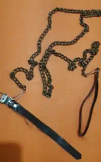 قلاده حیوان خانگی