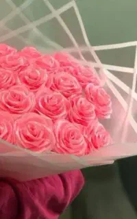 گل ربانی ارزان