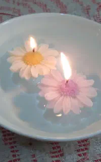 شمع بابونه